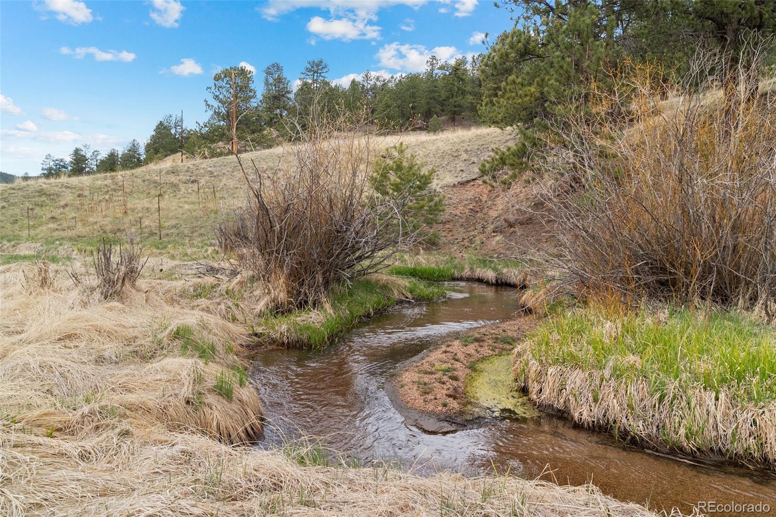 MLS Image #44 for 665  meadow drive,pine, Colorado