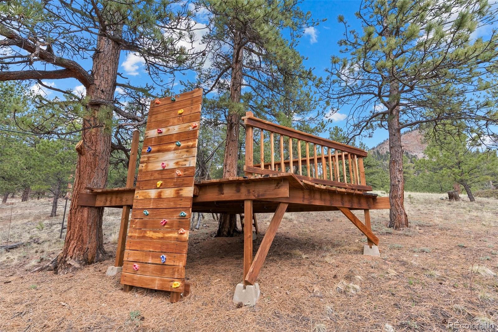MLS Image #47 for 665  meadow drive,pine, Colorado