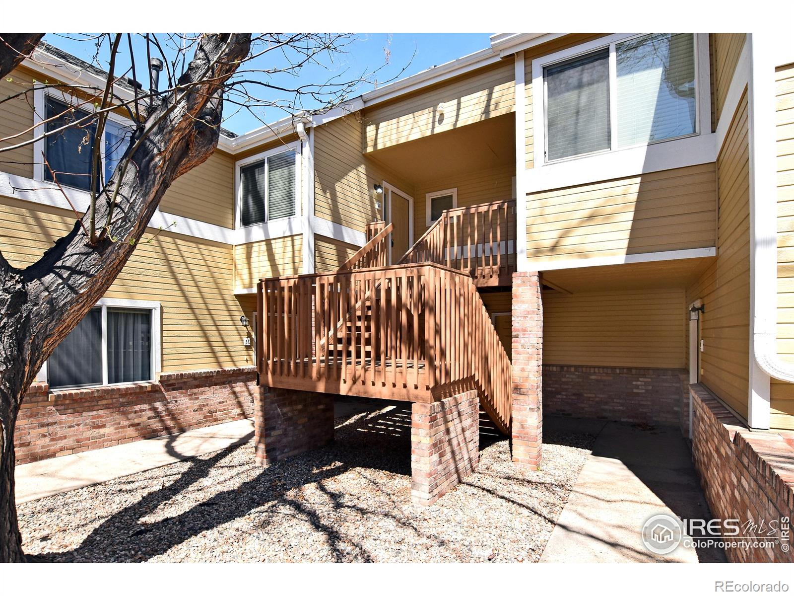 MLS Image #1 for 1021  rolland moore drive,fort collins, Colorado
