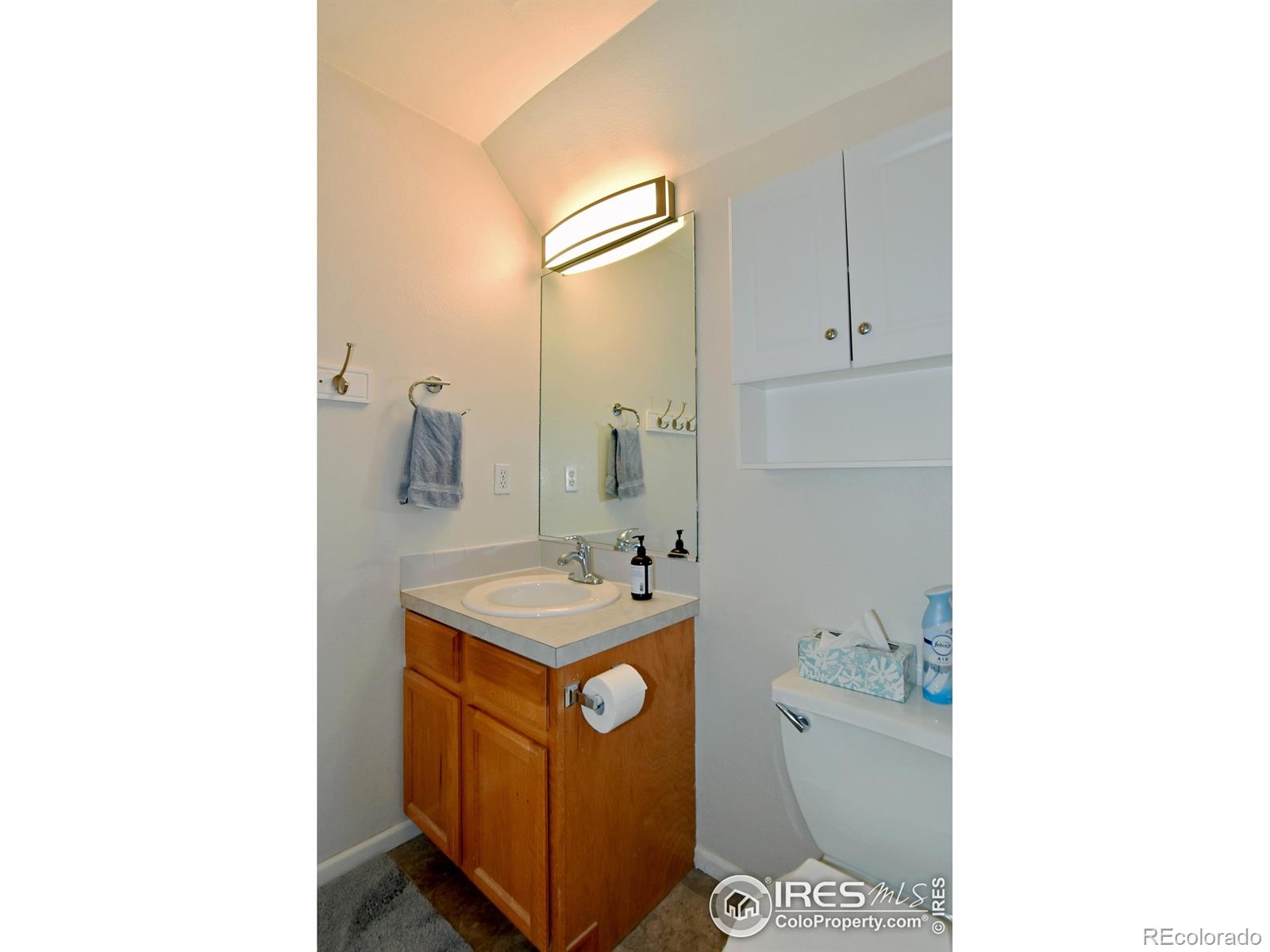 MLS Image #20 for 1021  rolland moore drive,fort collins, Colorado