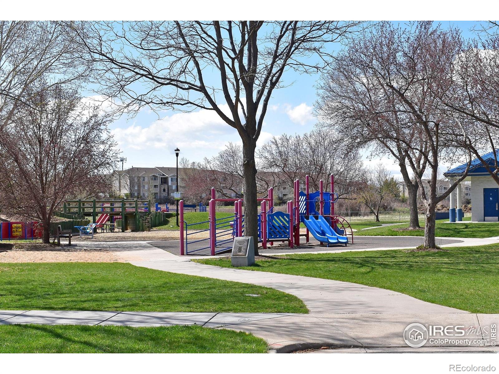 MLS Image #35 for 1021  rolland moore drive,fort collins, Colorado