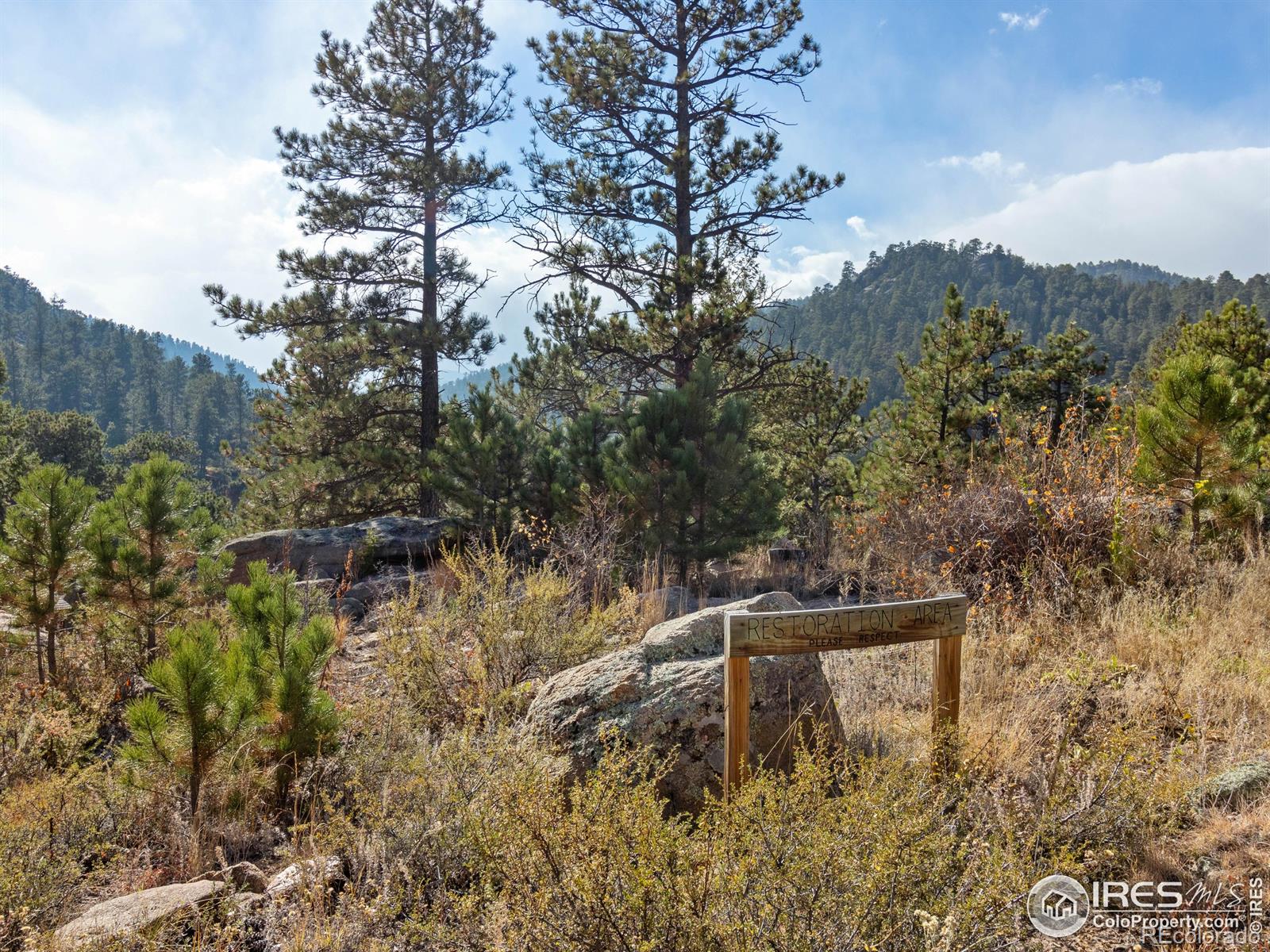 MLS Image #15 for 140  loveland heights lane,drake, Colorado