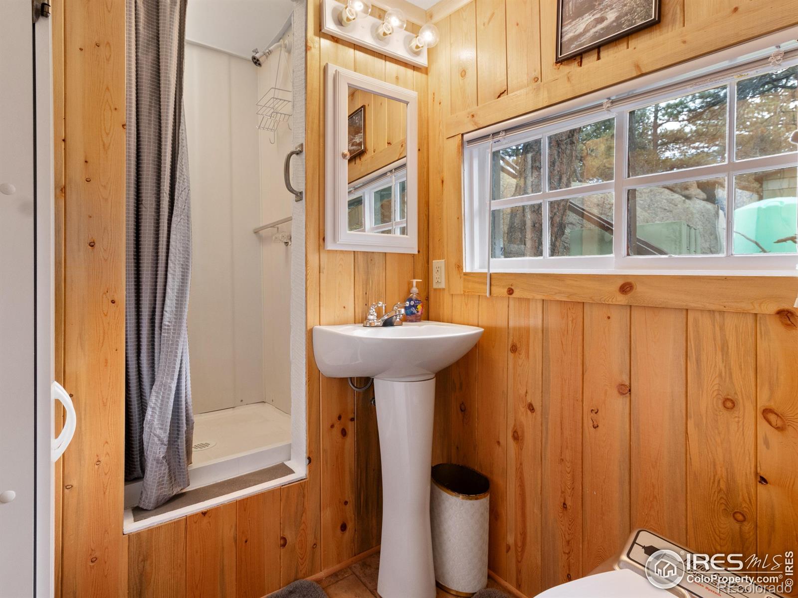 MLS Image #22 for 140  loveland heights lane,drake, Colorado