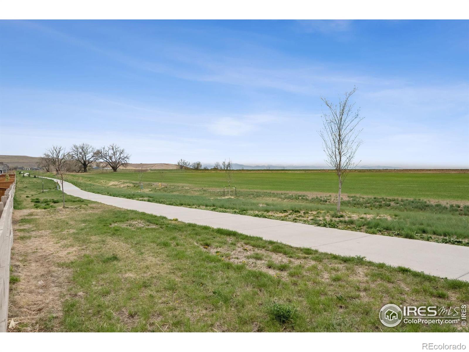 MLS Image #35 for 583  olive street,broomfield, Colorado