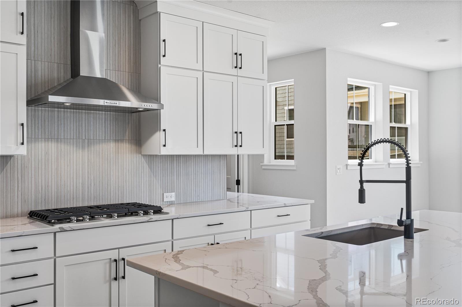 MLS Image #15 for 11261  moonshimmer street,littleton, Colorado