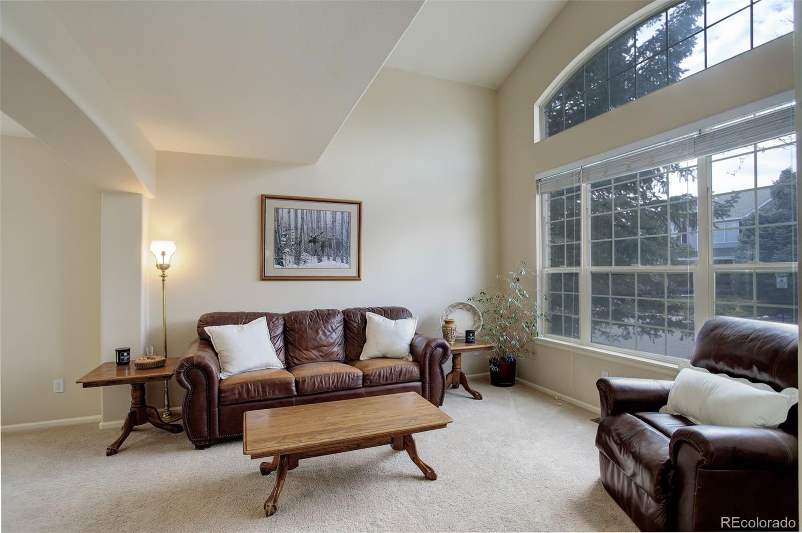 MLS Image #19 for 15432  greenstone circle,parker, Colorado