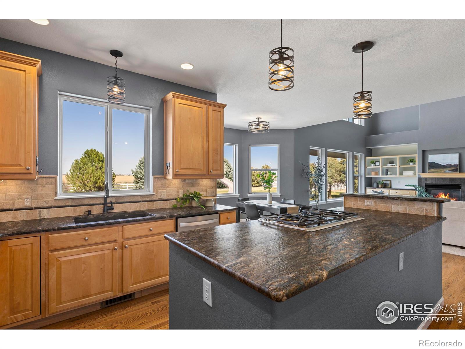 MLS Image #13 for 231  mulligan lake drive,mead, Colorado