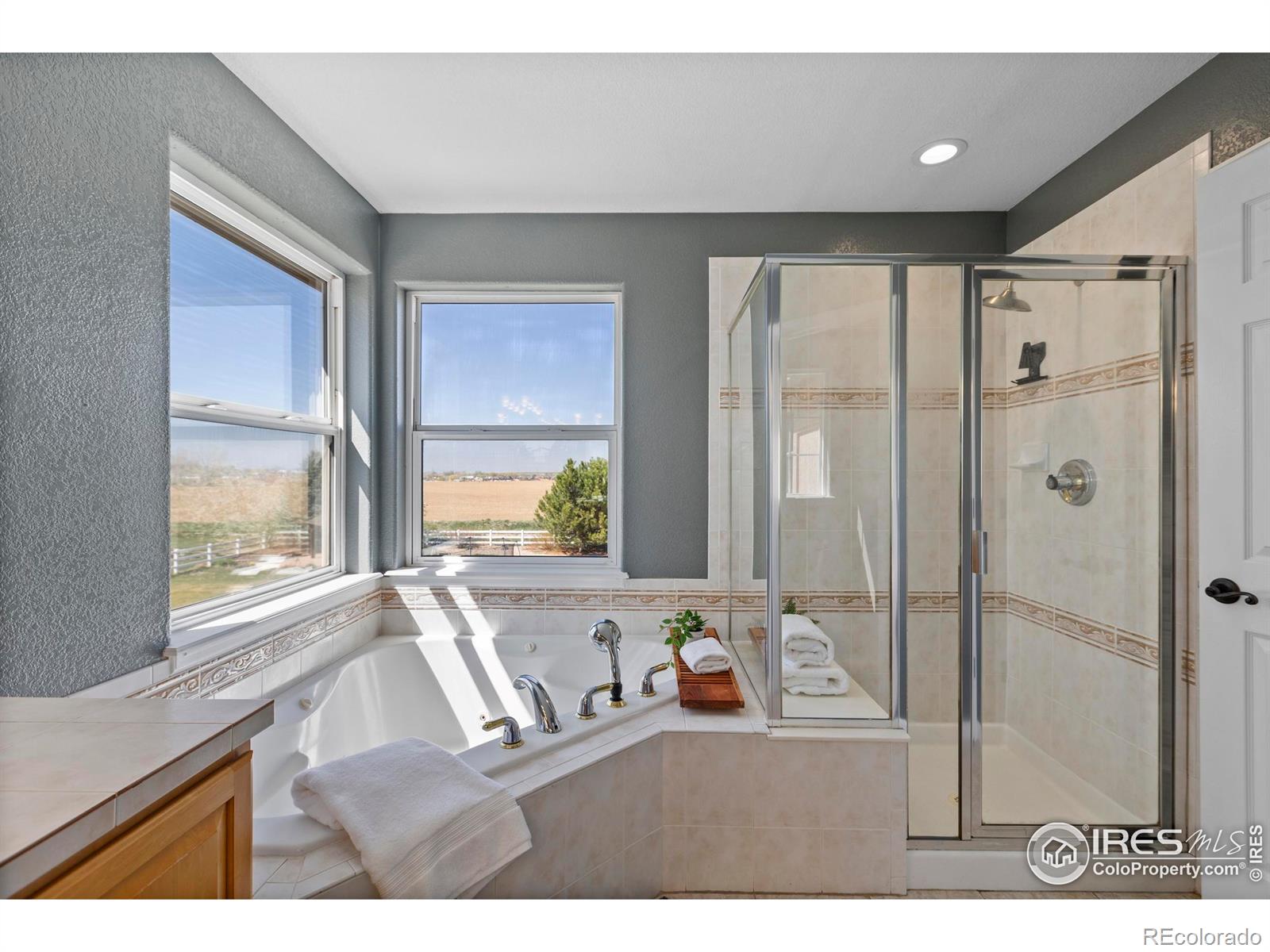 MLS Image #17 for 231  mulligan lake drive,mead, Colorado