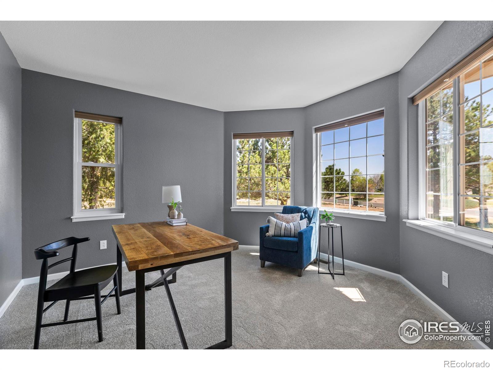MLS Image #3 for 231  mulligan lake drive,mead, Colorado