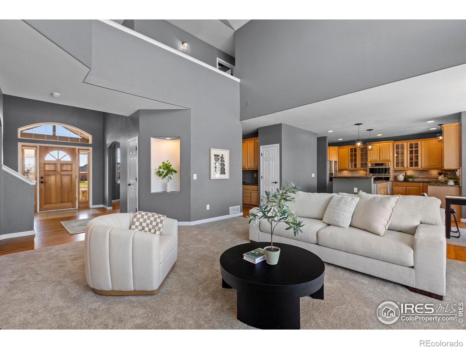 MLS Image #5 for 231  mulligan lake drive,mead, Colorado