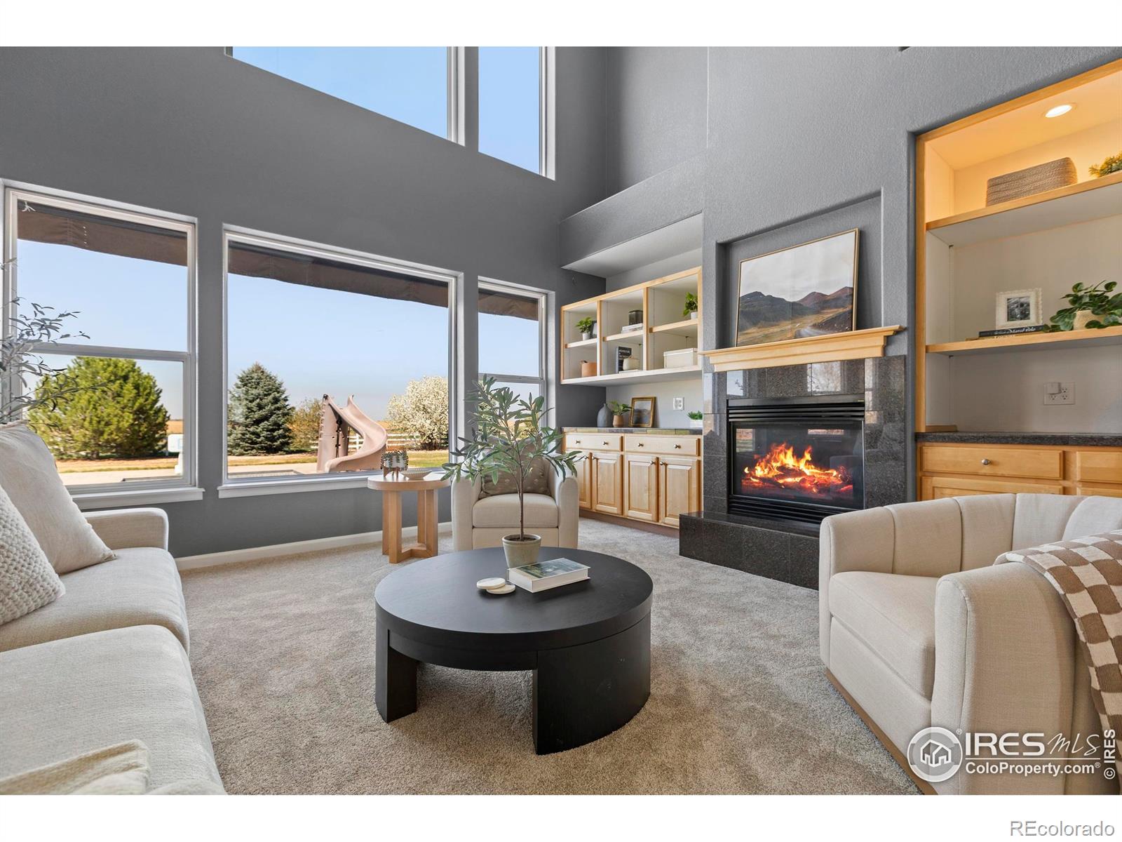 MLS Image #8 for 231  mulligan lake drive,mead, Colorado