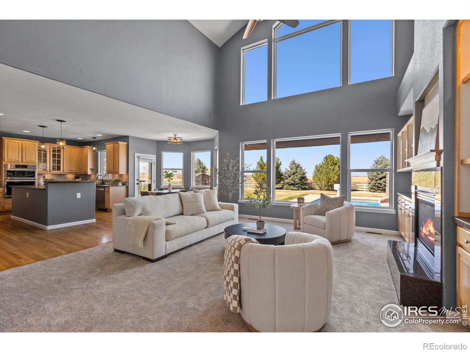 MLS Image #9 for 231  mulligan lake drive,mead, Colorado