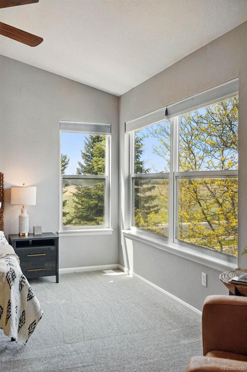 MLS Image #24 for 12411  irving drive,broomfield, Colorado
