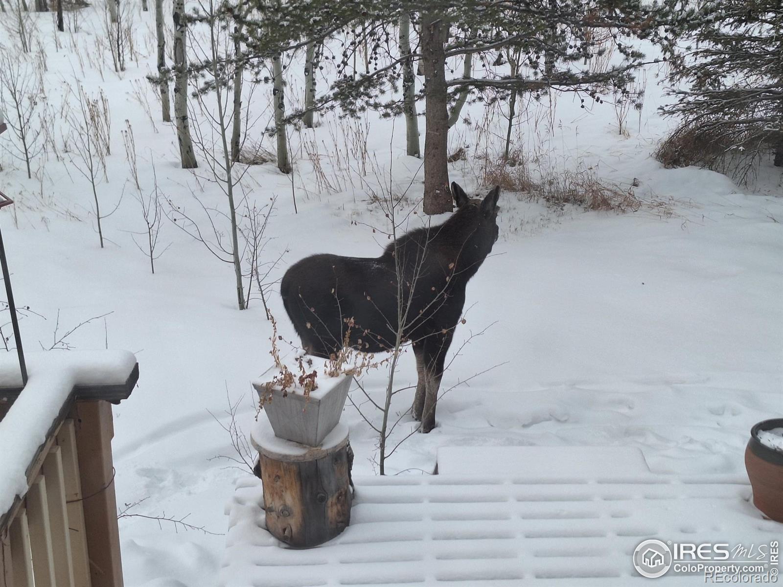 MLS Image #35 for 700  little chief way,frisco, Colorado