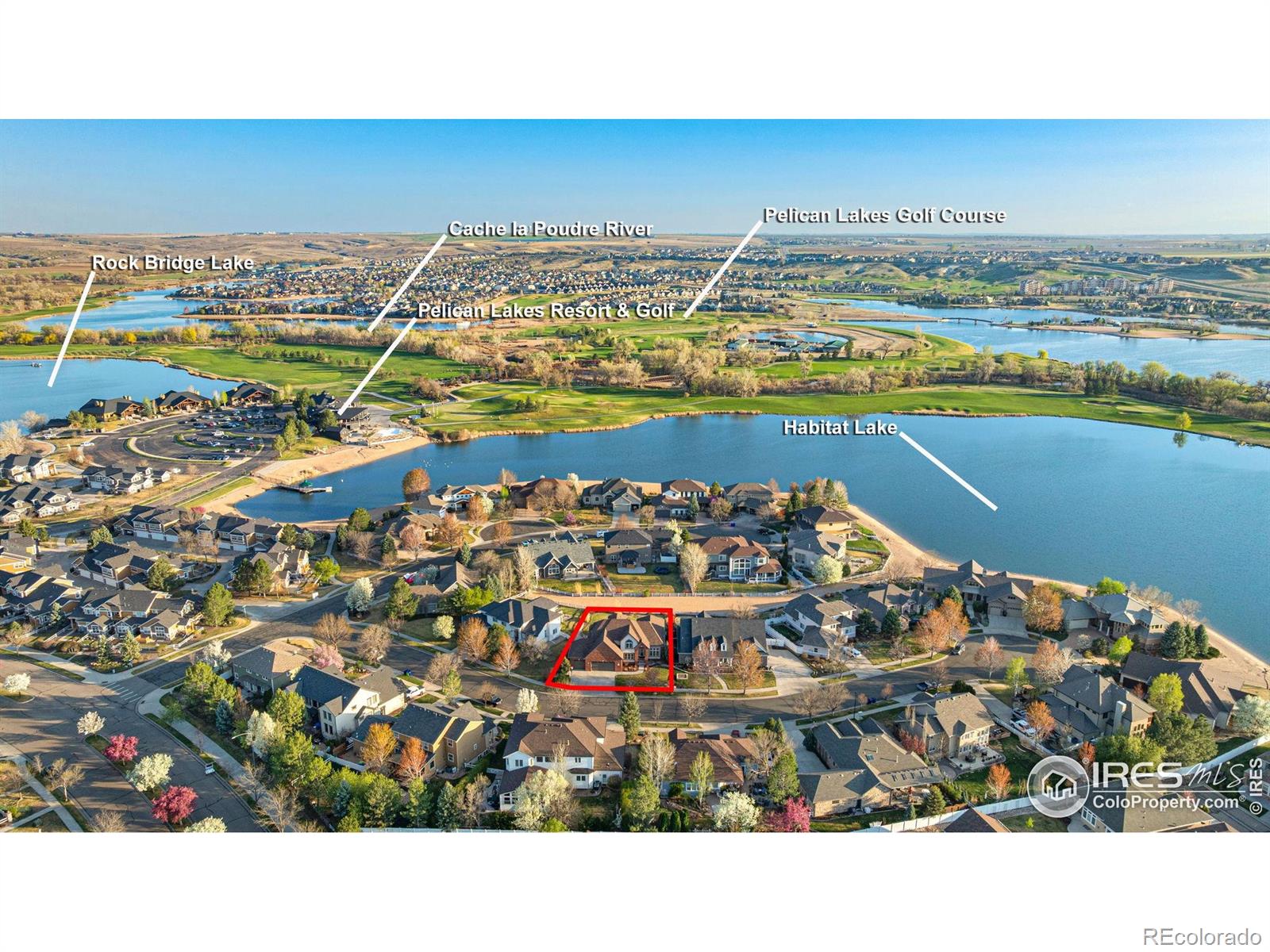 MLS Image #2 for 305  habitat cove,windsor, Colorado