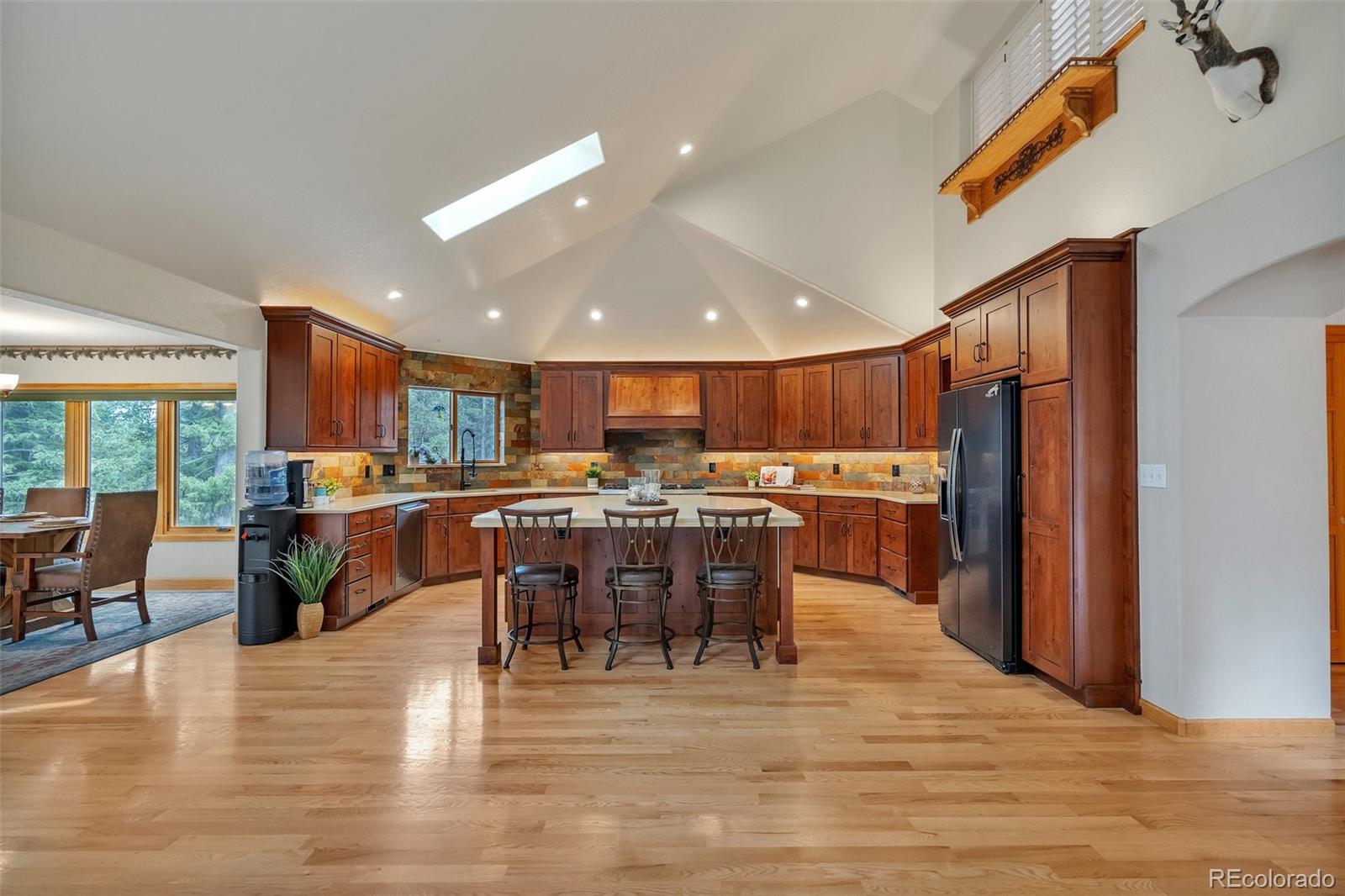 MLS Image #6 for 9590 s warhawk road,conifer, Colorado