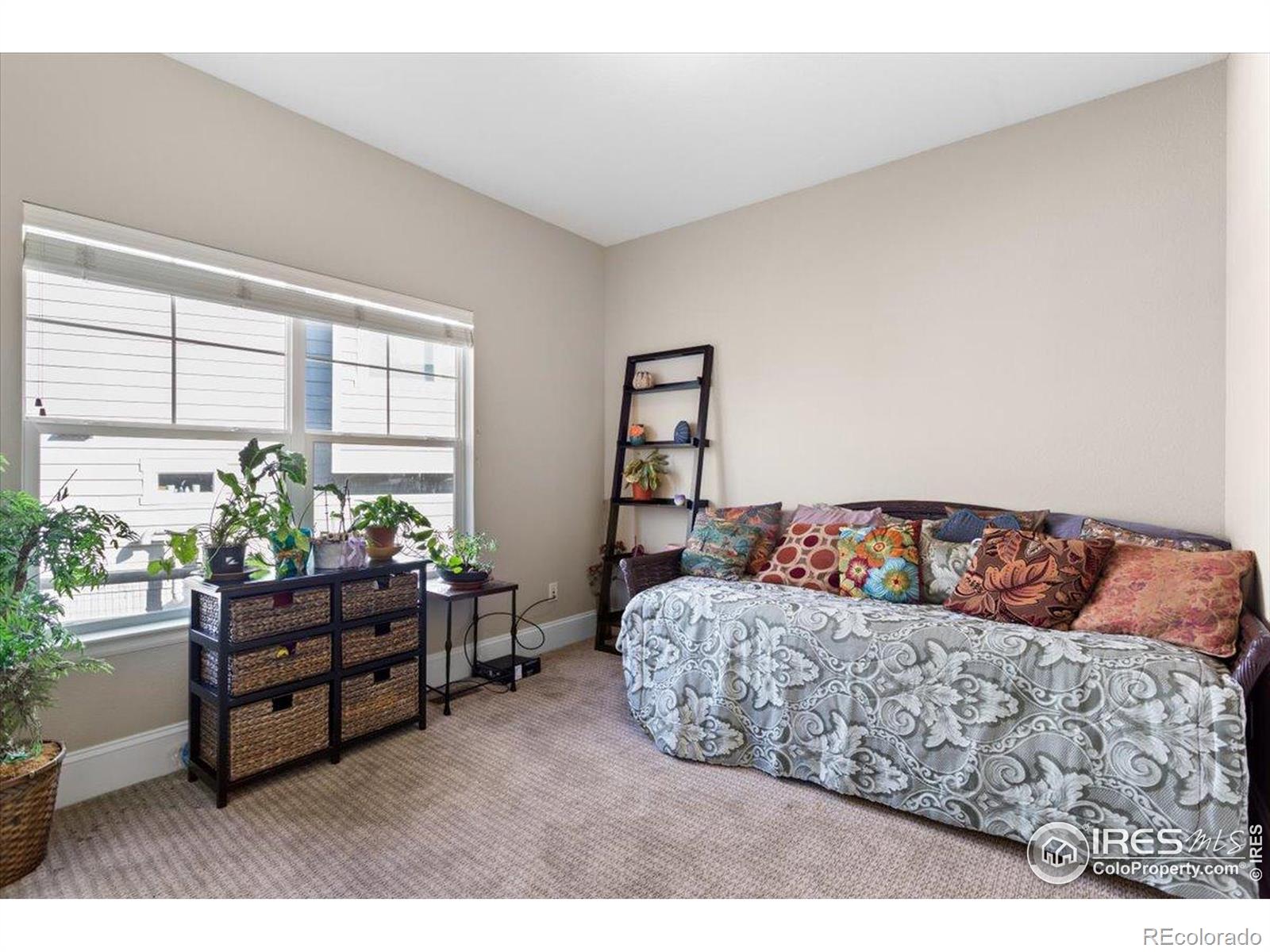MLS Image #14 for 4236  frederick circle,longmont, Colorado