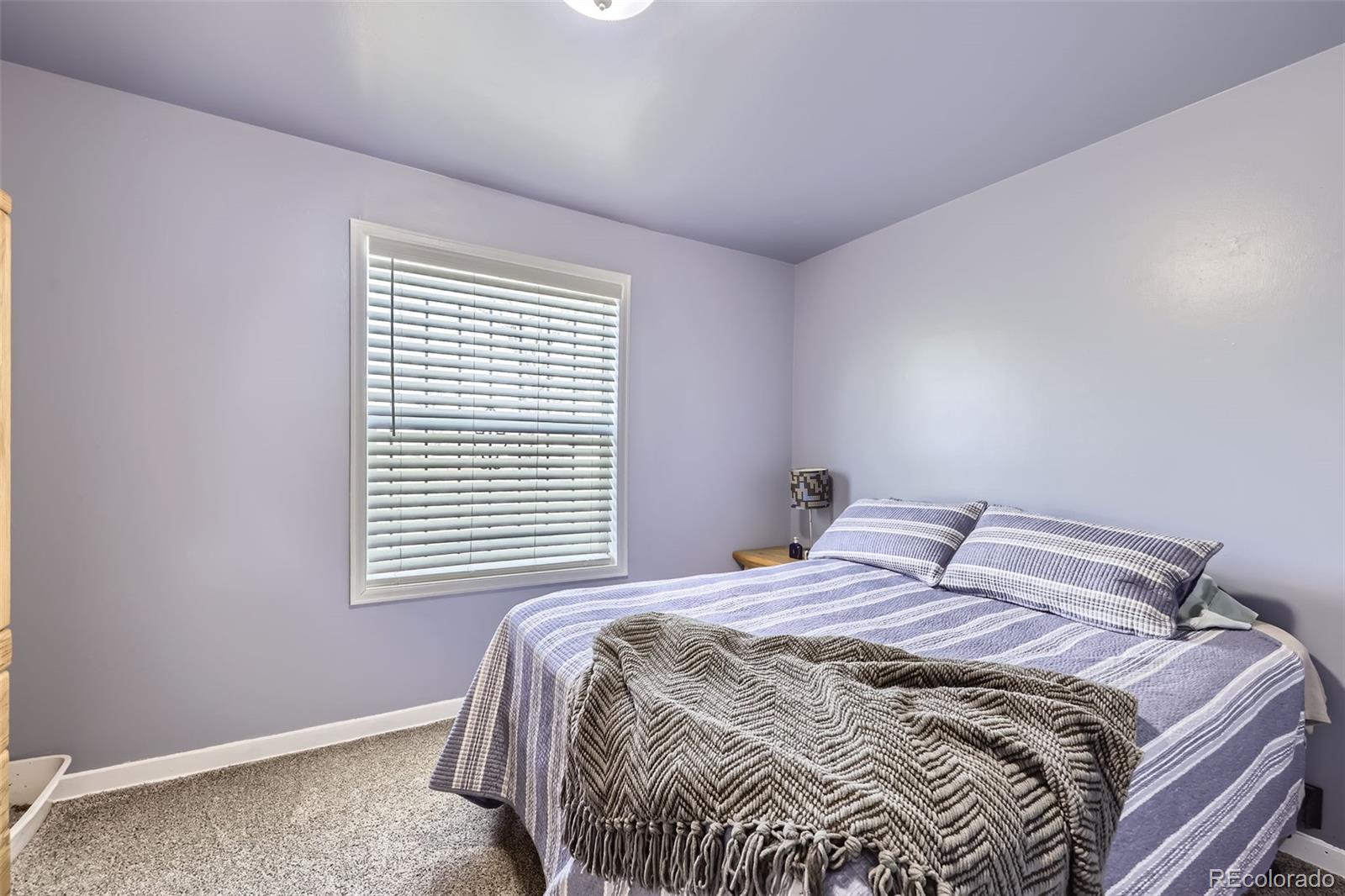 MLS Image #16 for 4780  milwaukee street,denver, Colorado