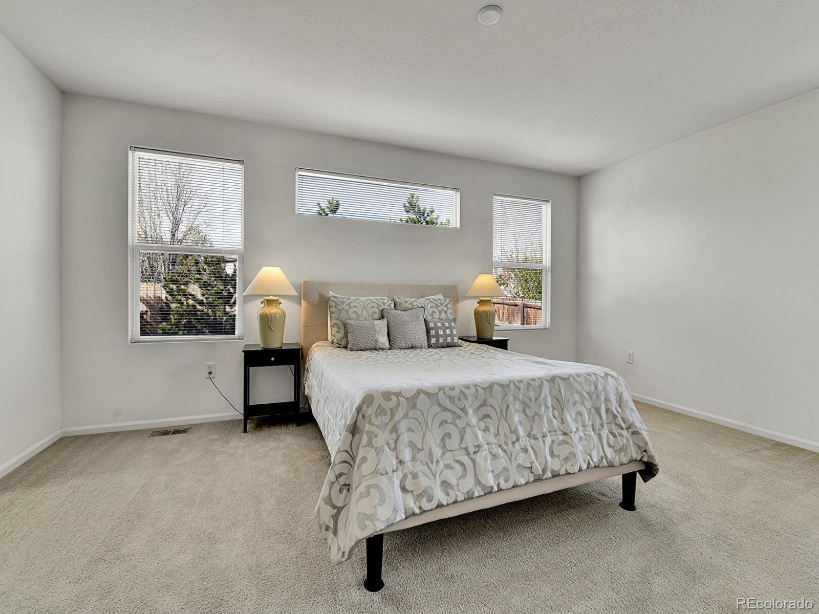 MLS Image #13 for 5341 n rhyolite way,parker, Colorado