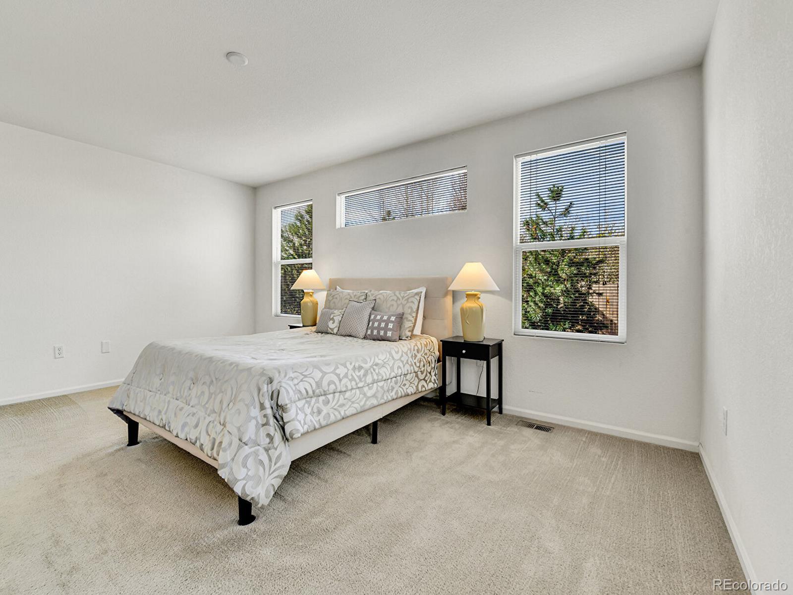 MLS Image #14 for 5341 n rhyolite way,parker, Colorado