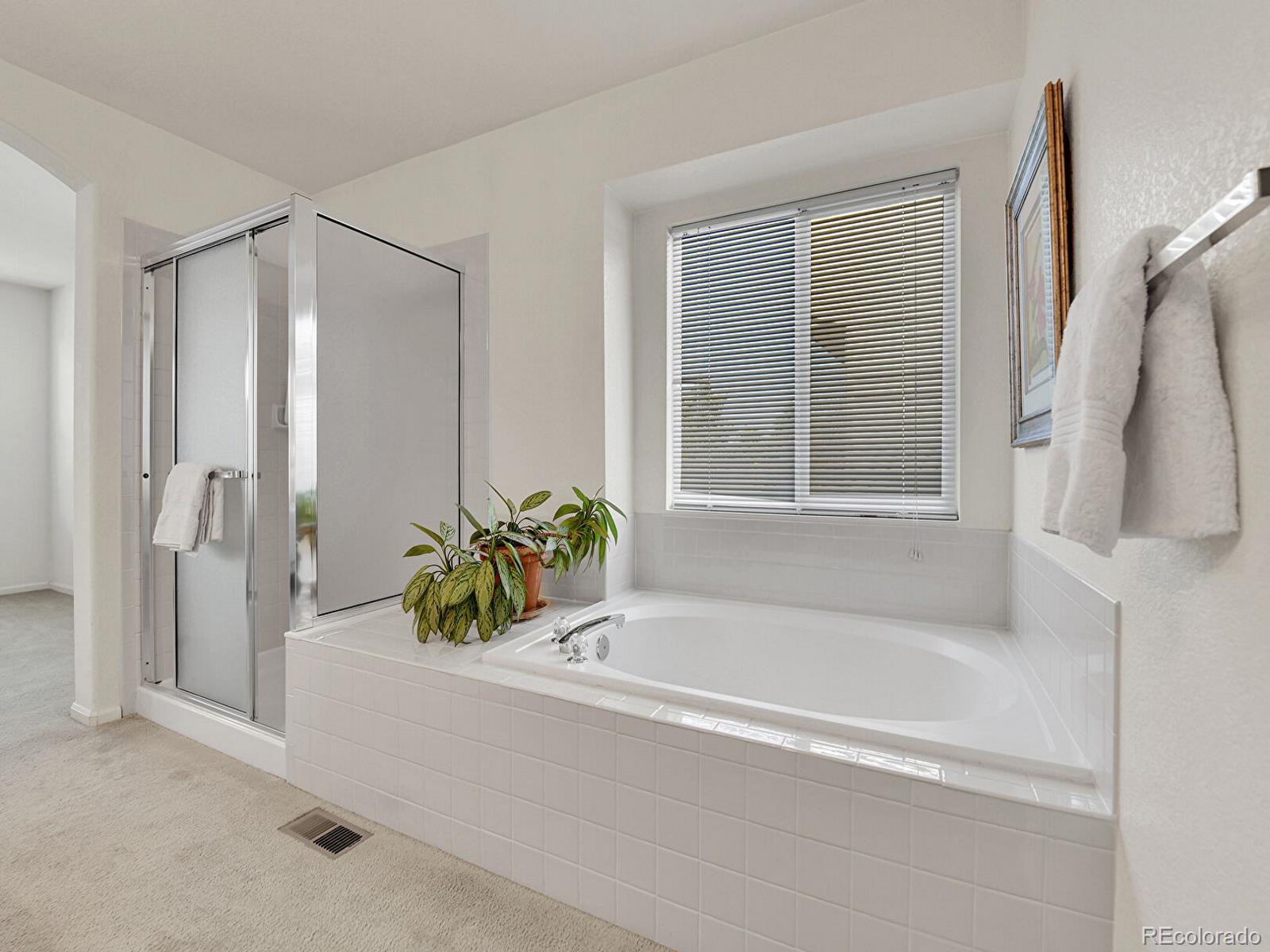 MLS Image #16 for 5341 n rhyolite way,parker, Colorado