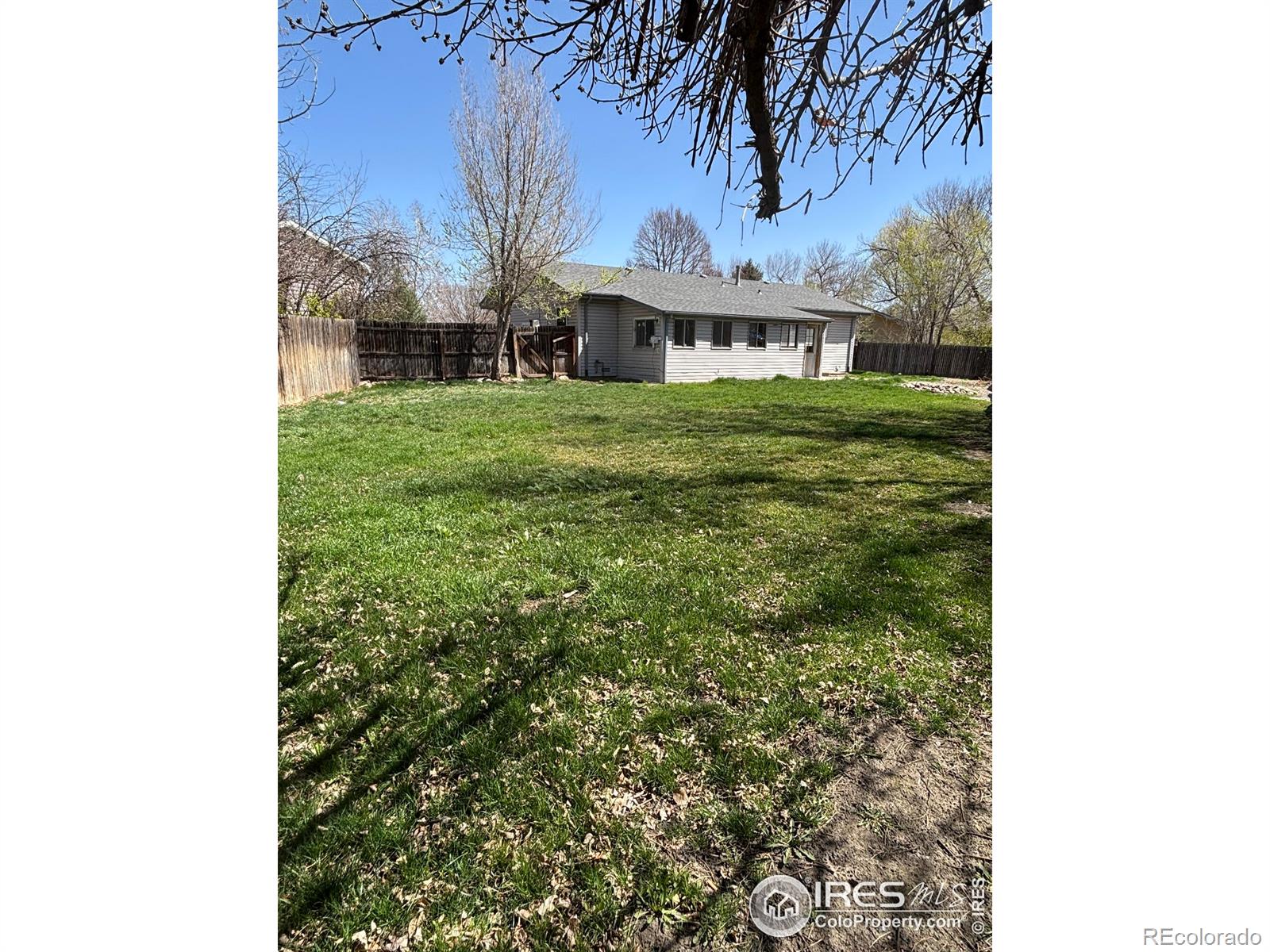 MLS Image #0 for 514  whitmore court,johnstown, Colorado
