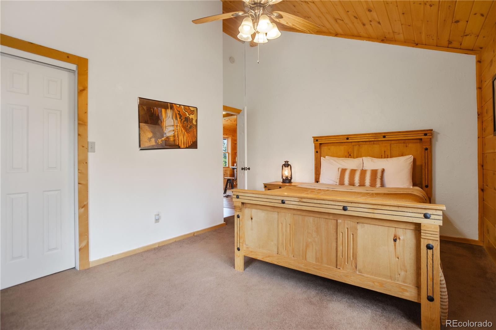 MLS Image #15 for 1141  deer trail drive,fairplay, Colorado
