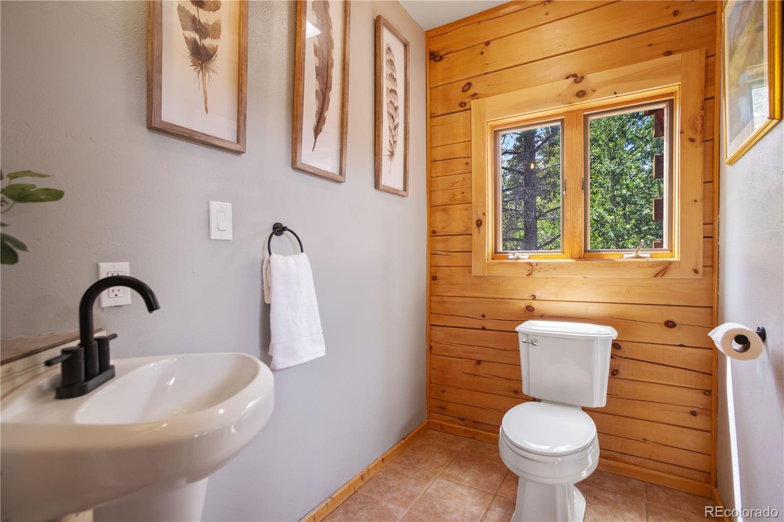 MLS Image #23 for 1141  deer trail drive,fairplay, Colorado
