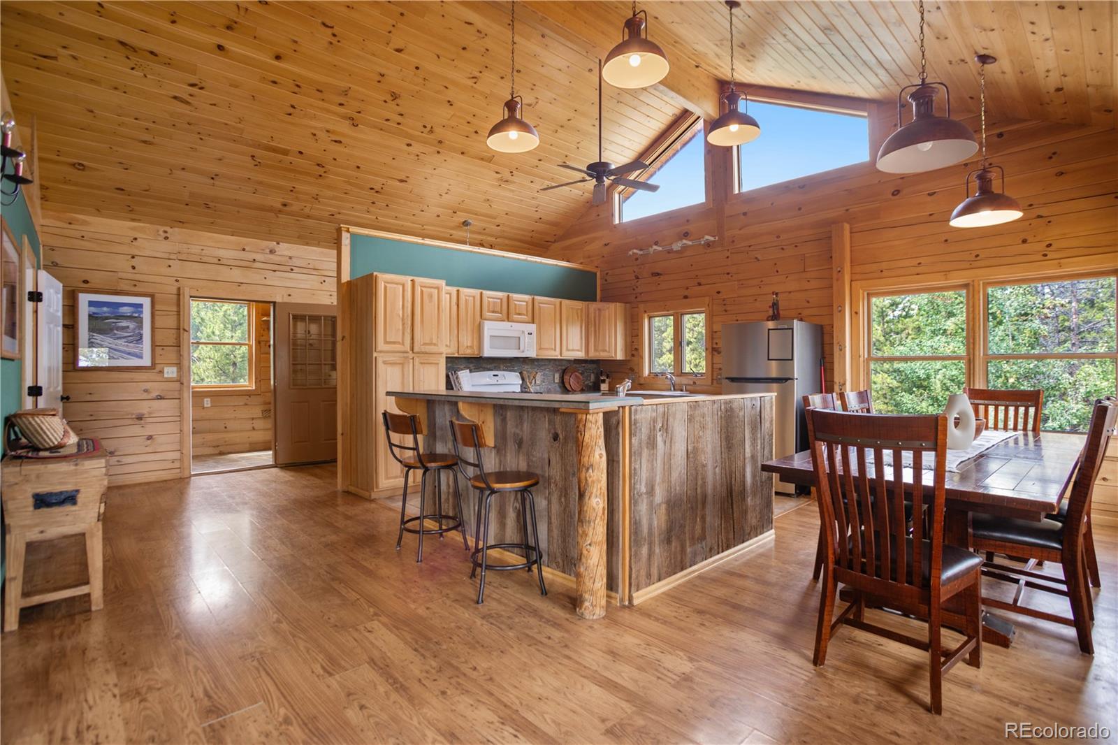 MLS Image #7 for 1141  deer trail drive,fairplay, Colorado