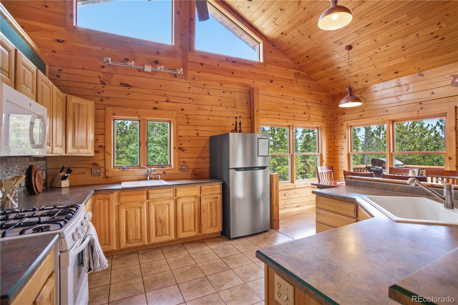 MLS Image #8 for 1141  deer trail drive,fairplay, Colorado