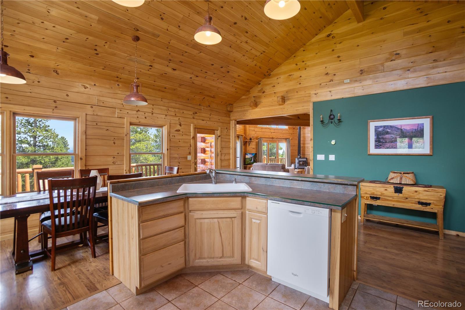 MLS Image #9 for 1141  deer trail drive,fairplay, Colorado
