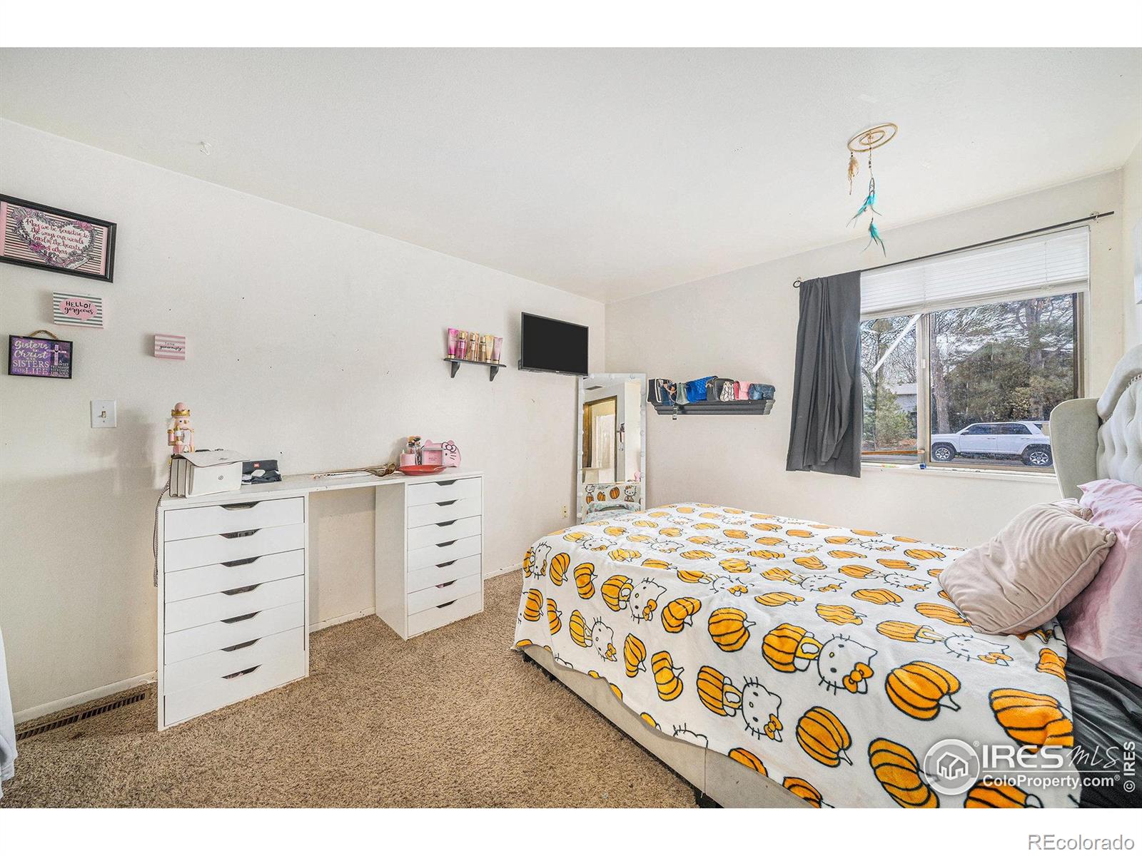 MLS Image #18 for 114  placer avenue,longmont, Colorado