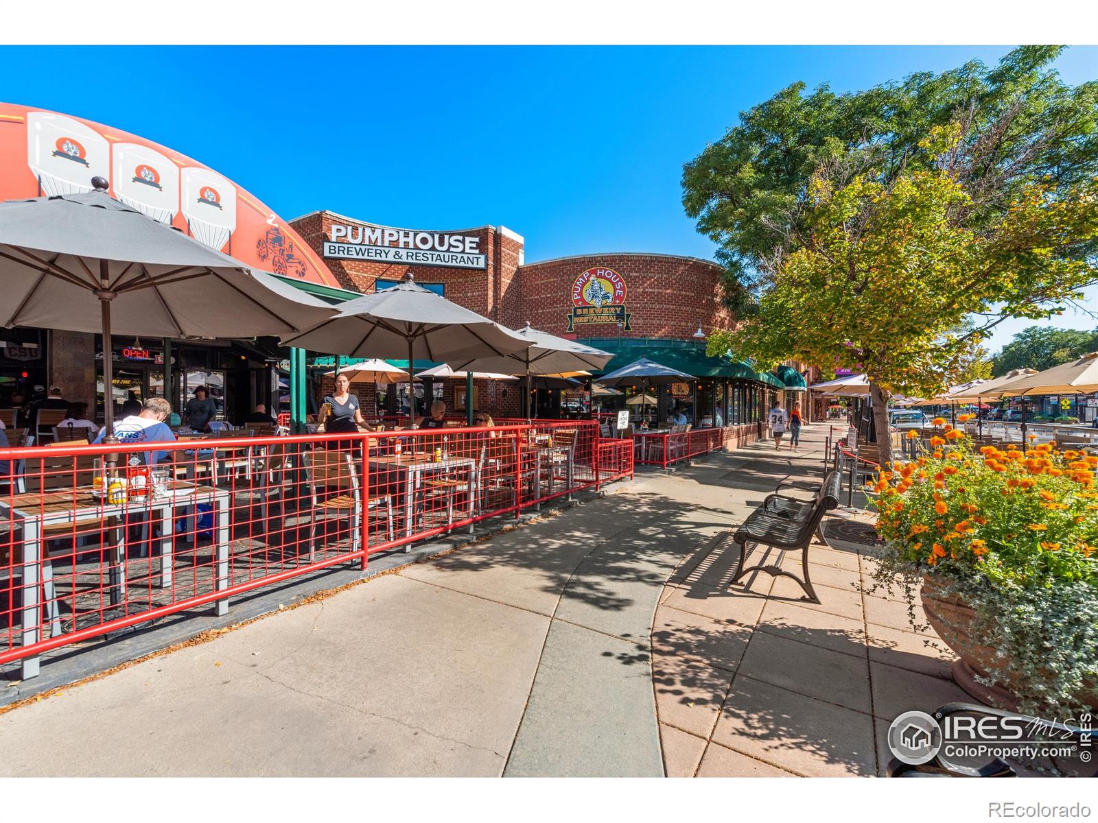 MLS Image #26 for 114  placer avenue,longmont, Colorado