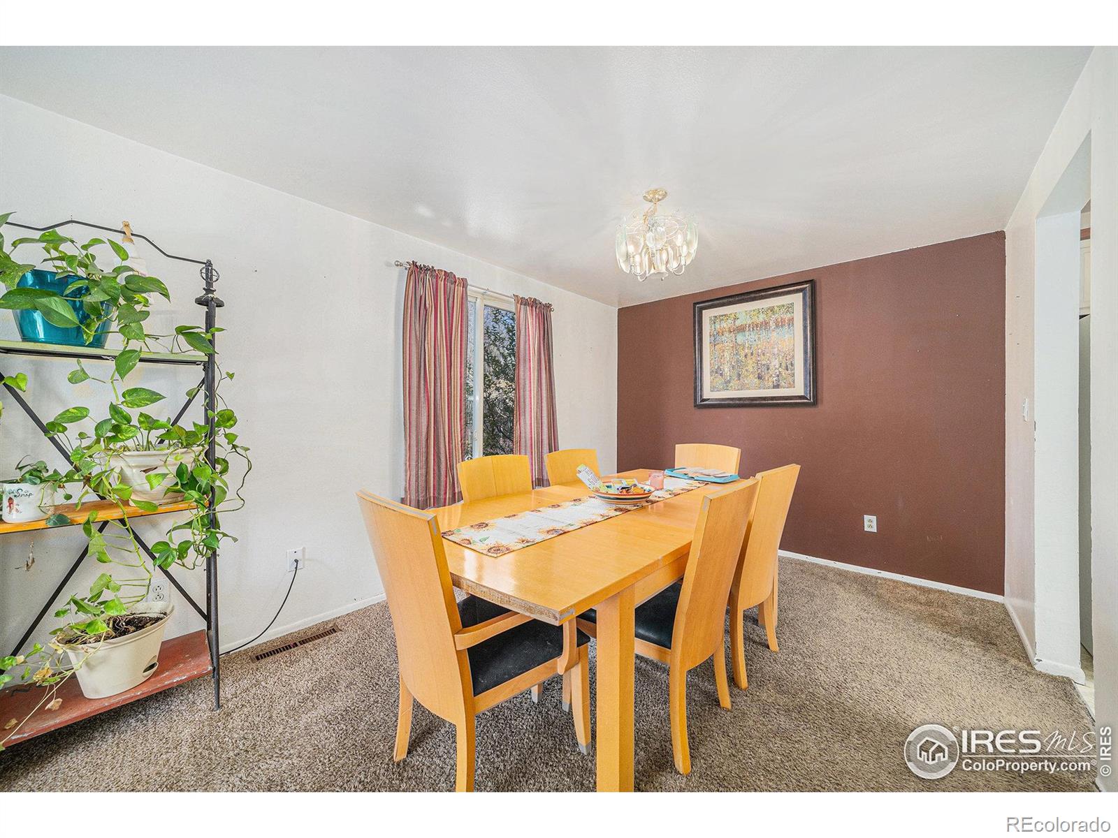 MLS Image #8 for 114  placer avenue,longmont, Colorado