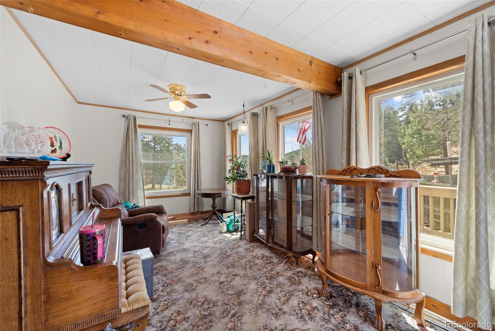 MLS Image #12 for 181  county road 370 ,rye, Colorado