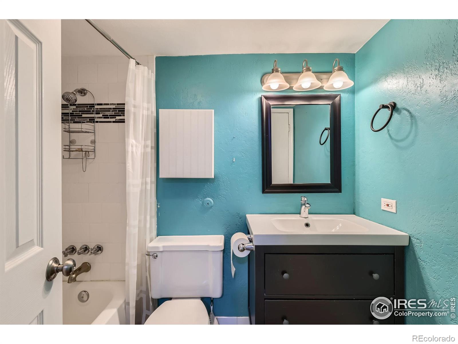 MLS Image #3 for 1366  garfield street,denver, Colorado