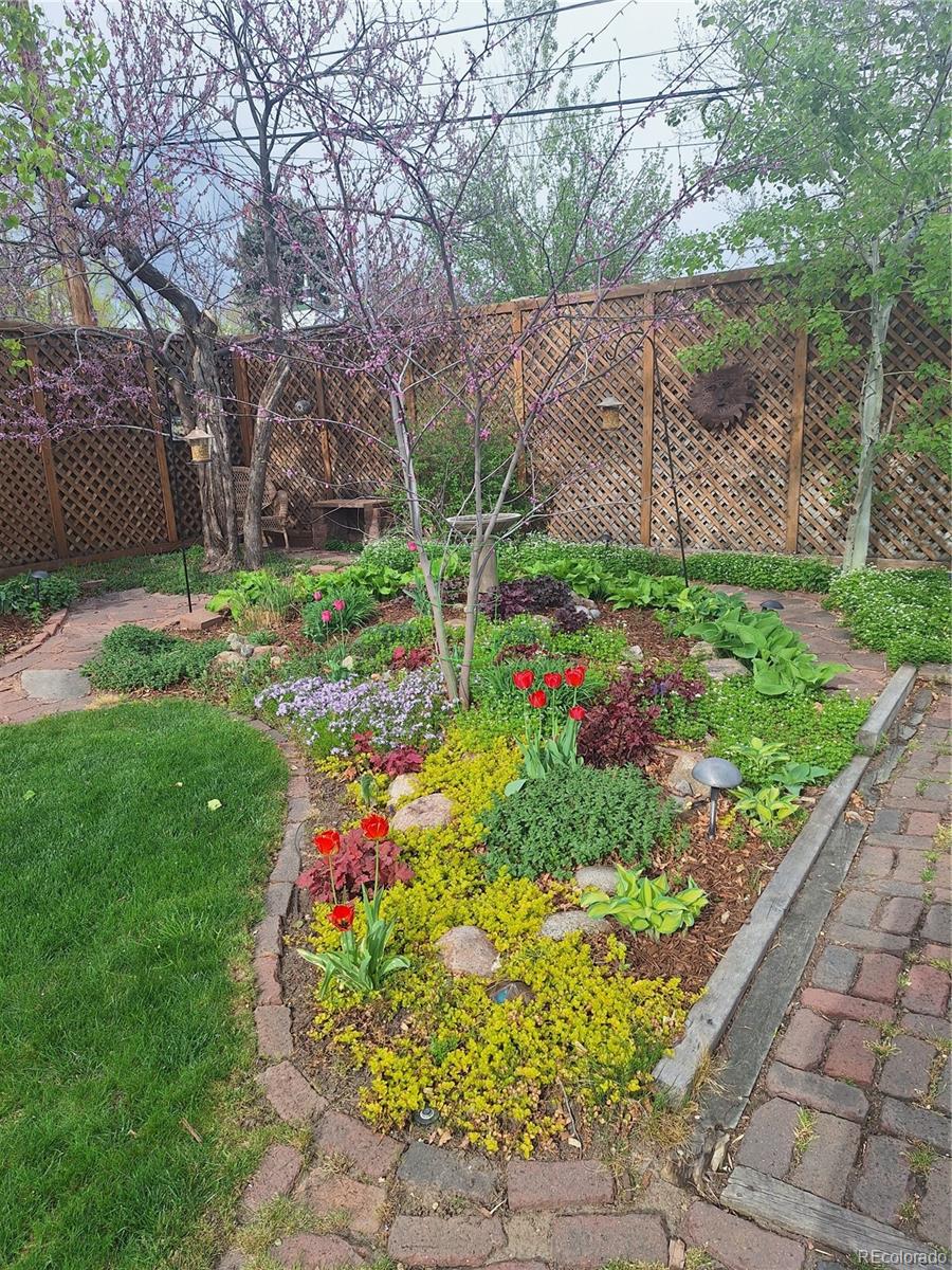 MLS Image #21 for 1572  leyden street,denver, Colorado