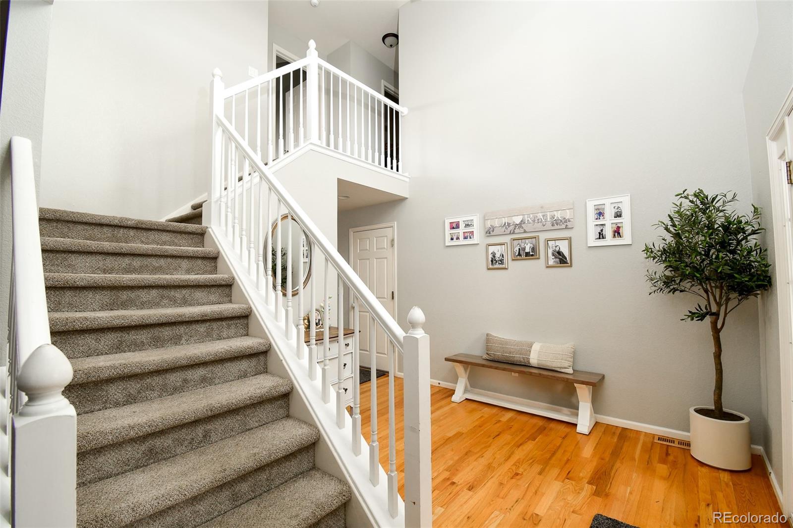 MLS Image #13 for 9786  malachite court,parker, Colorado