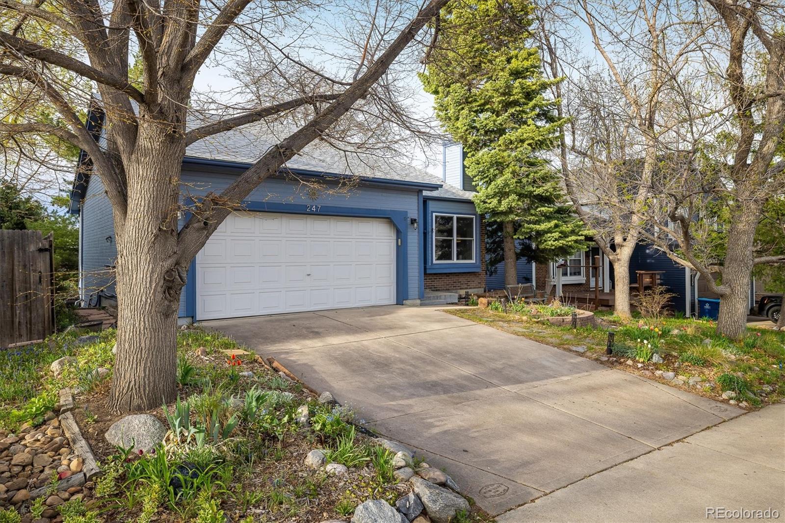 MLS Image #2 for 247  regal street,louisville, Colorado