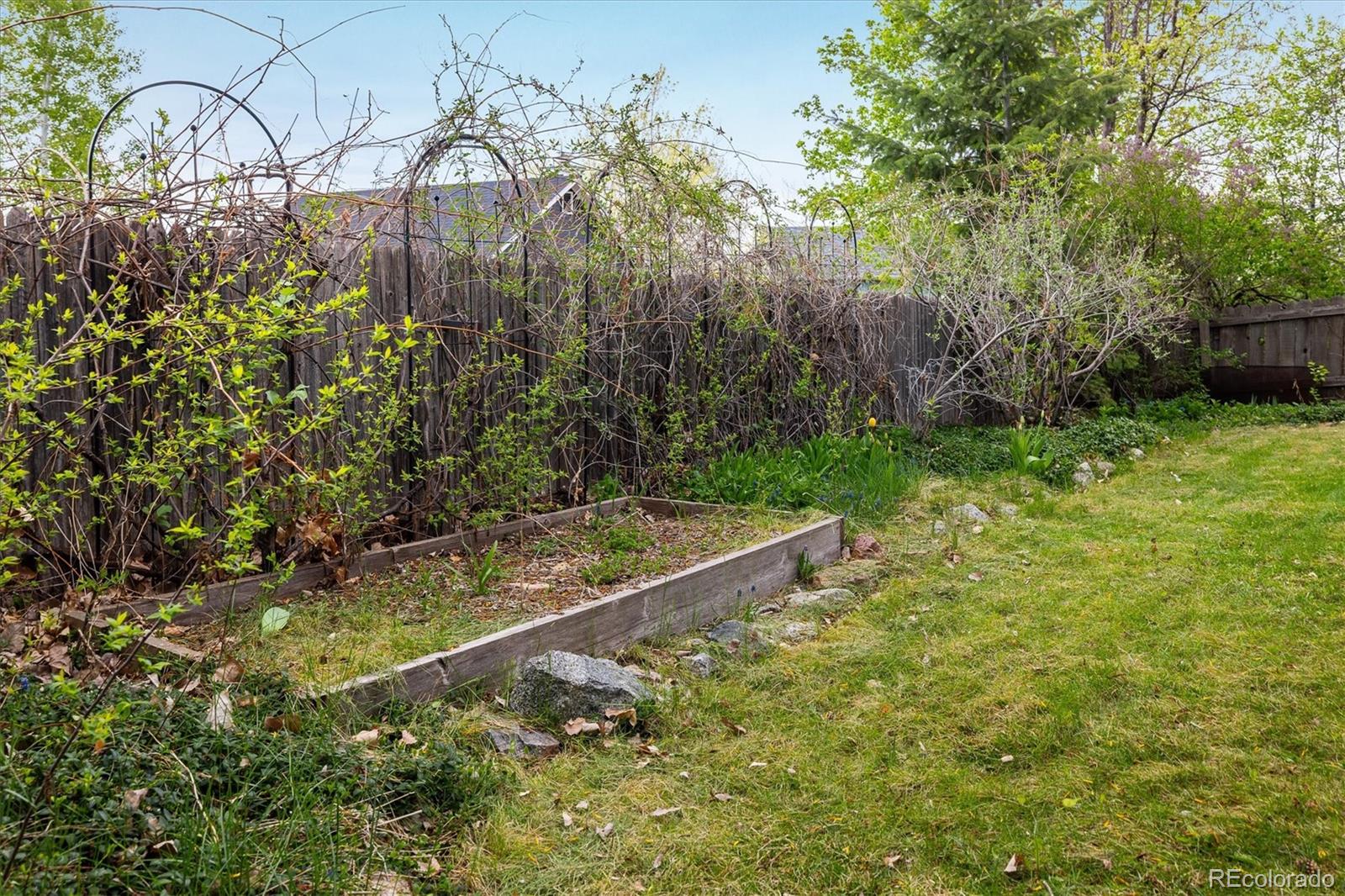 MLS Image #23 for 247  regal street,louisville, Colorado