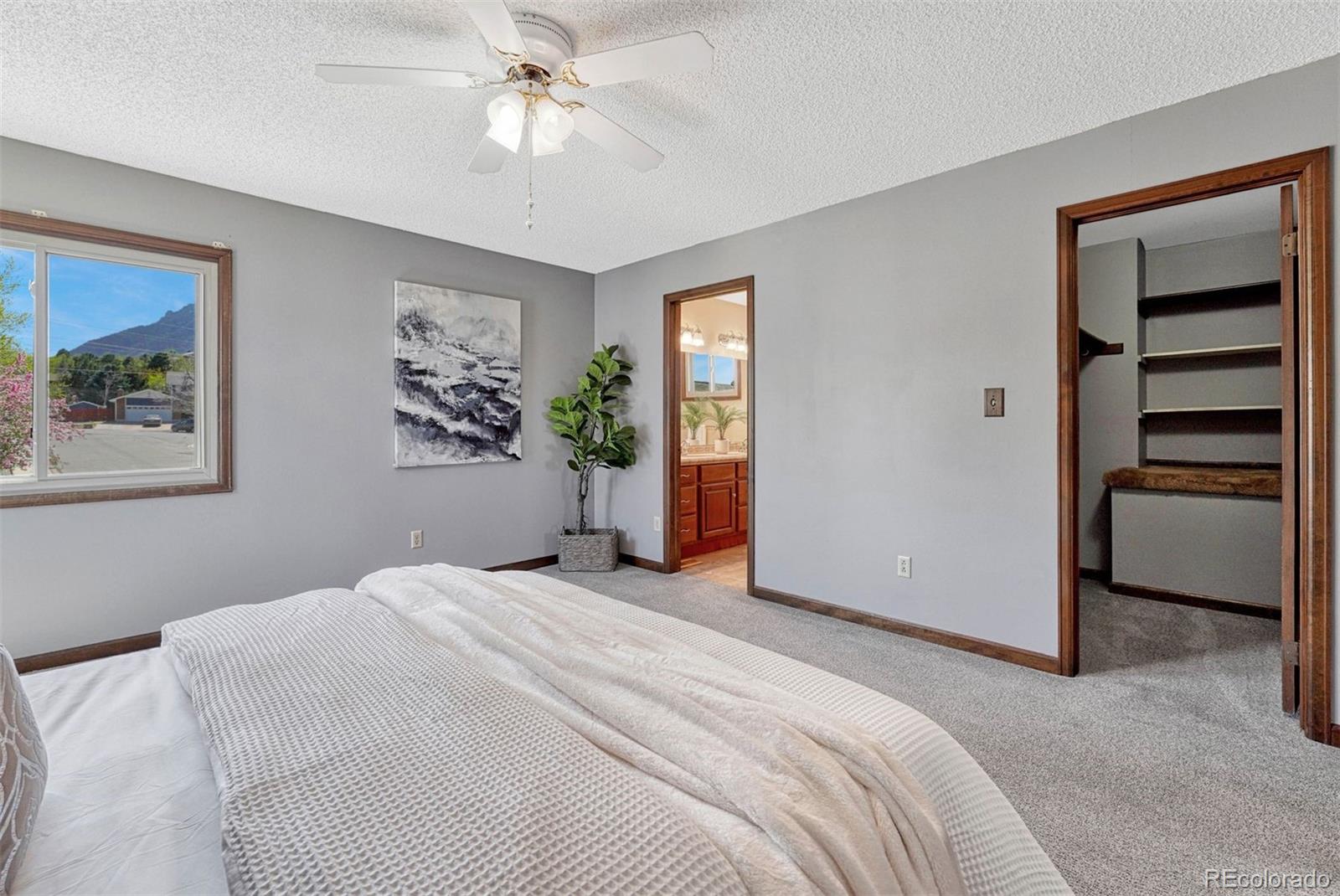 MLS Image #9 for 4325  stonehaven drive,colorado springs, Colorado
