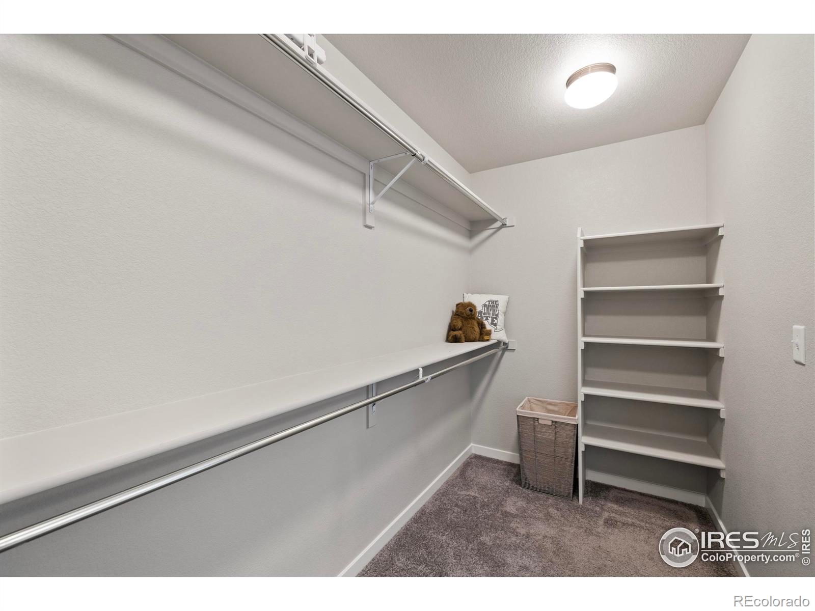 MLS Image #20 for 2838  sykes drive,fort collins, Colorado