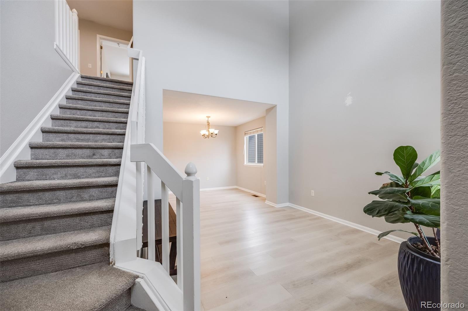 MLS Image #6 for 4821 n silverlace drive,castle rock, Colorado