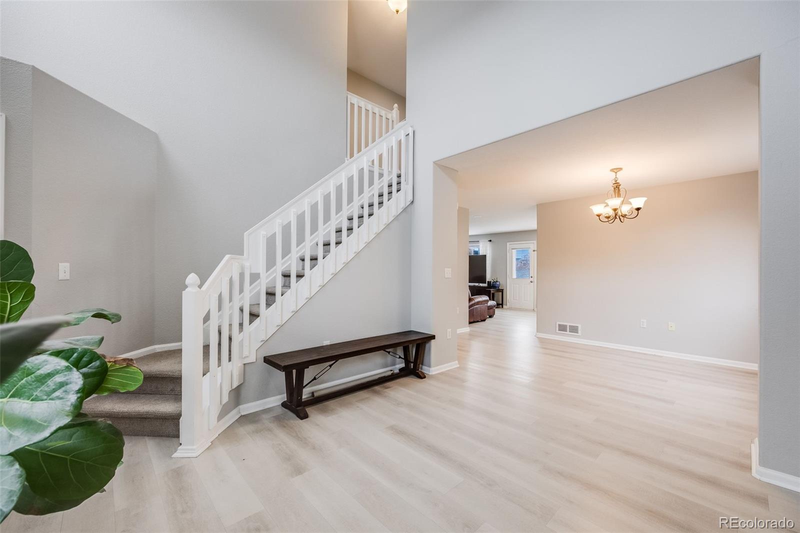 MLS Image #8 for 4821 n silverlace drive,castle rock, Colorado