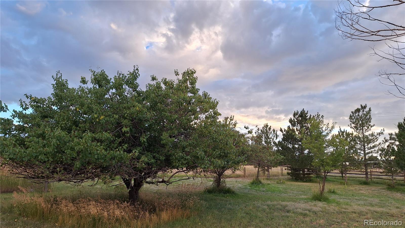 MLS Image #43 for 12798  tomahawk road,parker, Colorado