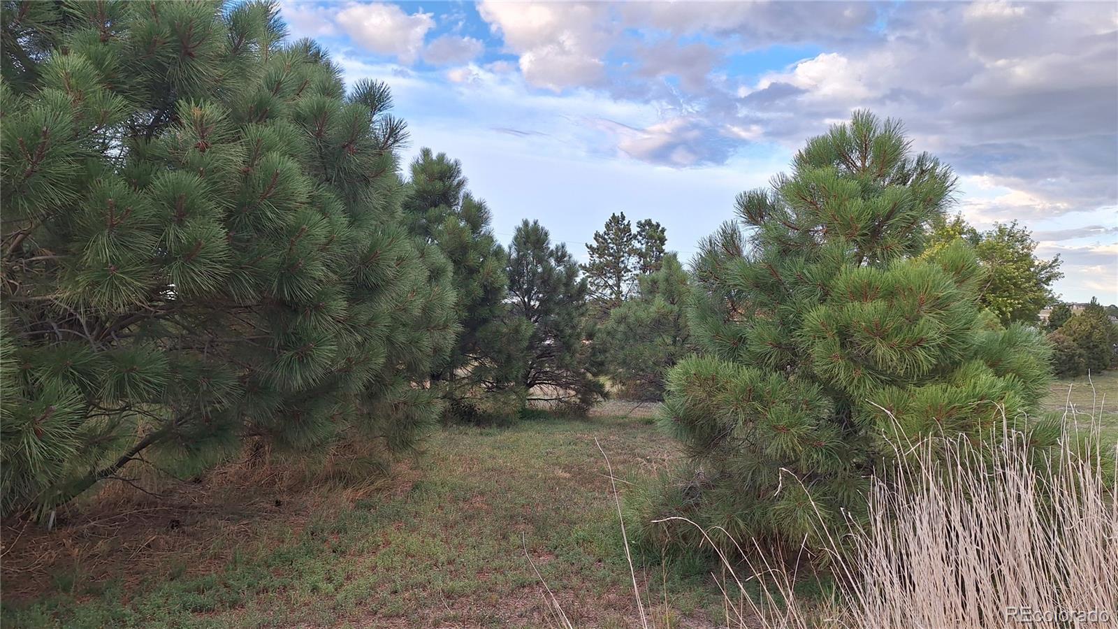 MLS Image #44 for 12798  tomahawk road,parker, Colorado