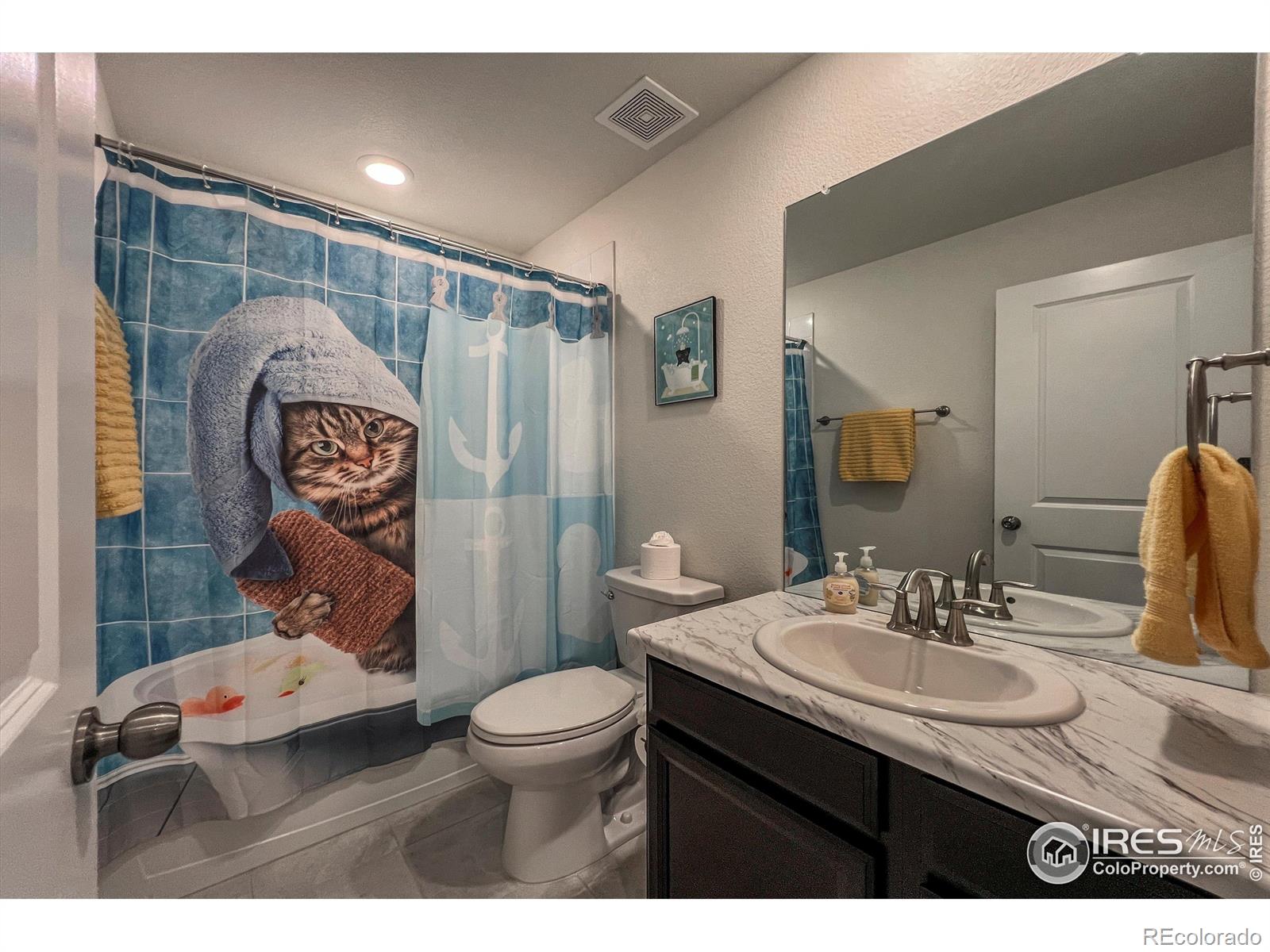 MLS Image #28 for 17614  cherokee street,broomfield, Colorado
