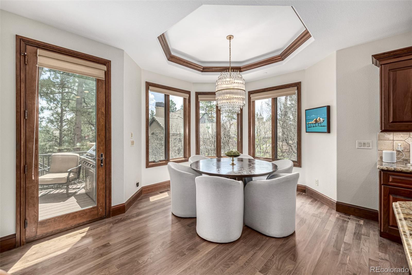 MLS Image #10 for 648  ruby trust drive,castle rock, Colorado