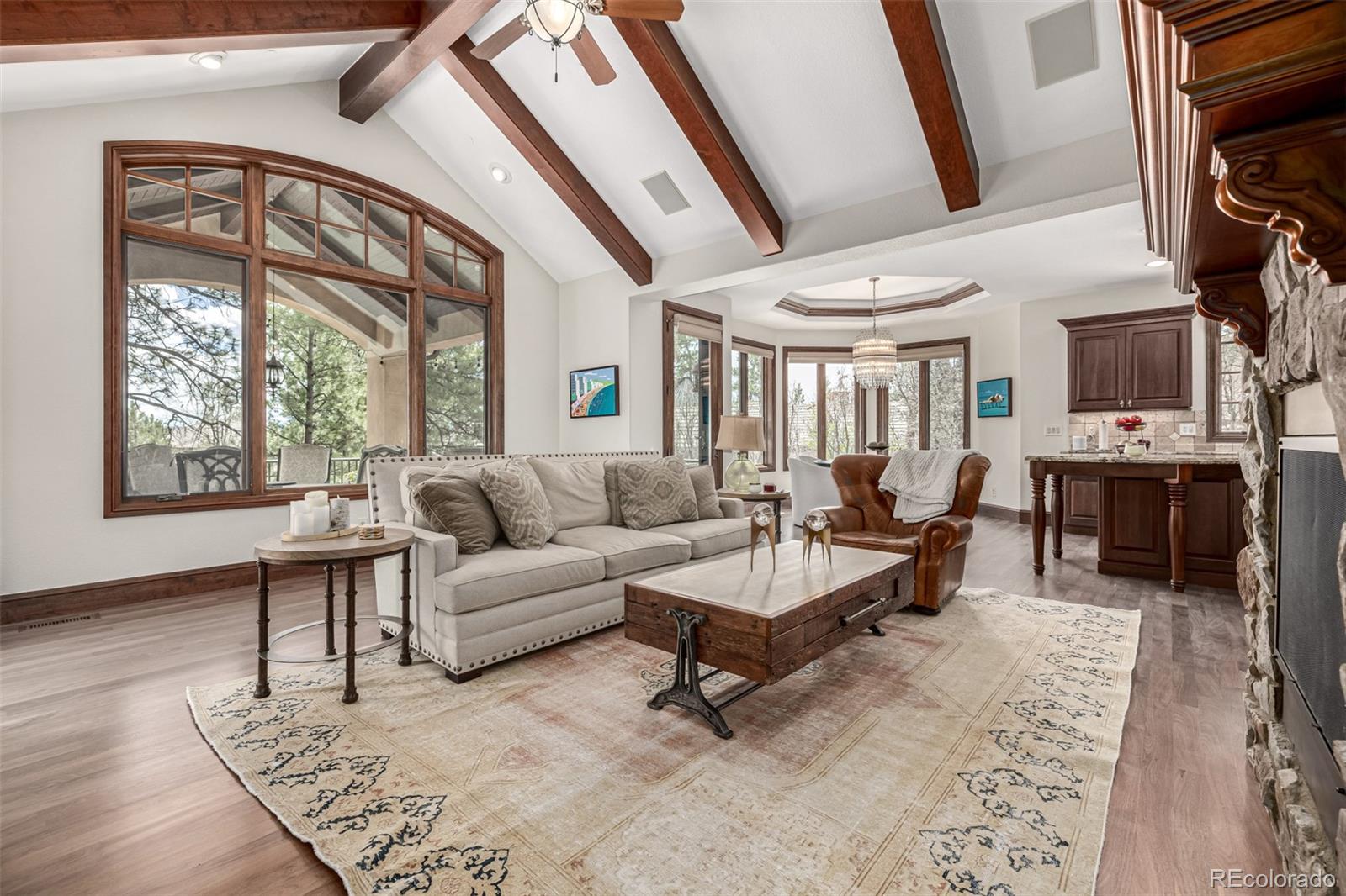 MLS Image #13 for 648  ruby trust drive,castle rock, Colorado