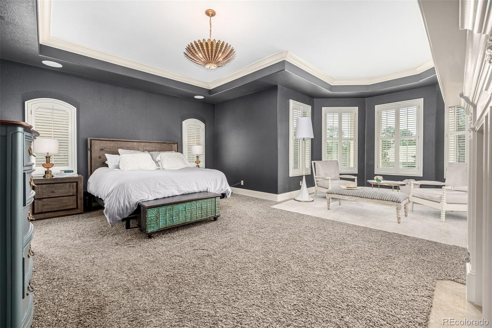 MLS Image #20 for 648  ruby trust drive,castle rock, Colorado